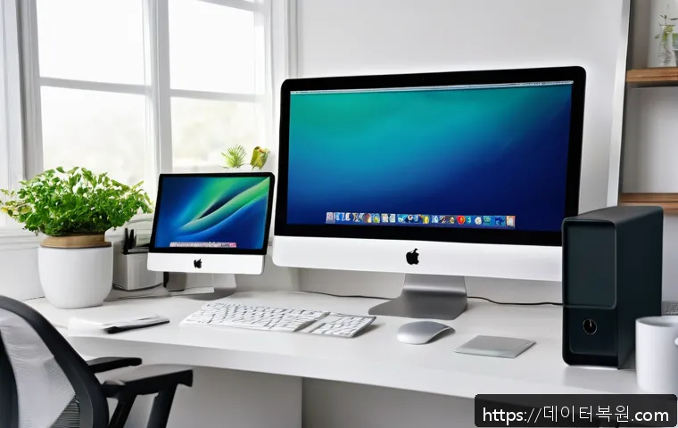 옥천동 부트캠프 윈도우 재설치 및 초기화 전문 서비스 후기와 신속 문제 해결 노하우 21