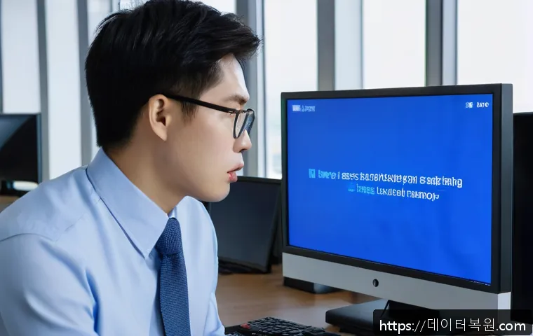 성내동 STATUS_MEMORY_VIOLATION 관련 이미지 1