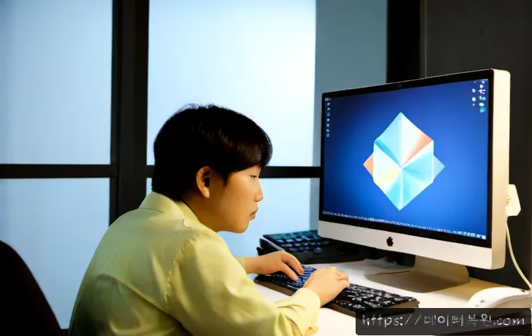 구산동 DRIVER_CAUGHT_MODIFYING_FREED_POOL 관련 이미지 4
