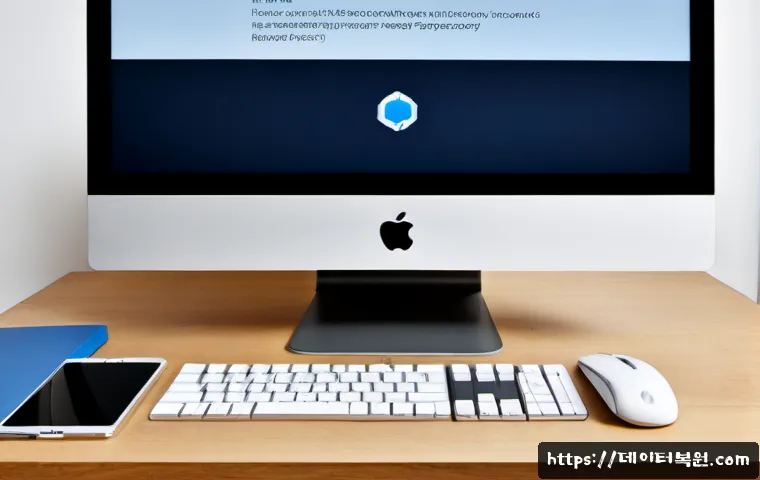 충신동 macosX재설치 포맷 초기화 관련 이미지 1