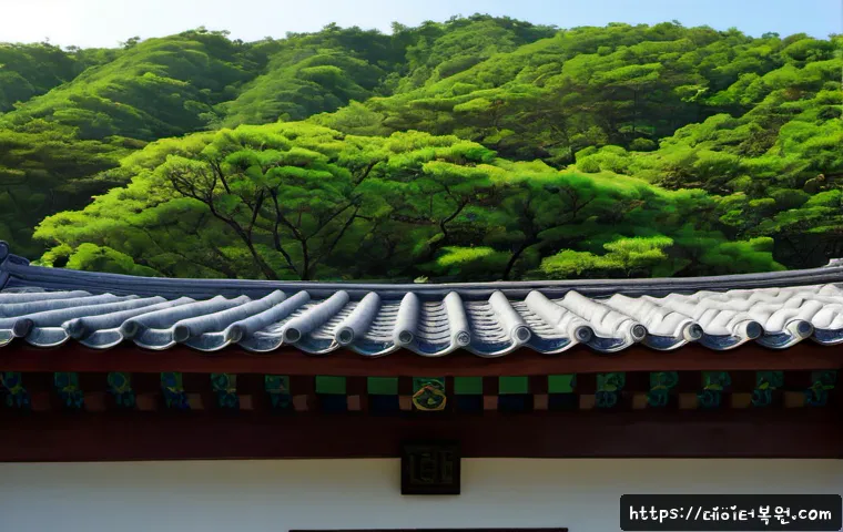 성현동 신호없음 관련 이미지 5