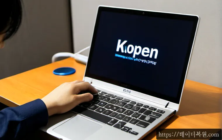 수색동 macosX재설치 포맷 초기화 관련 이미지 2