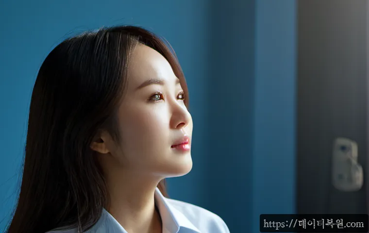 수색동 macosX재설치 포맷 초기화 관련 이미지 5