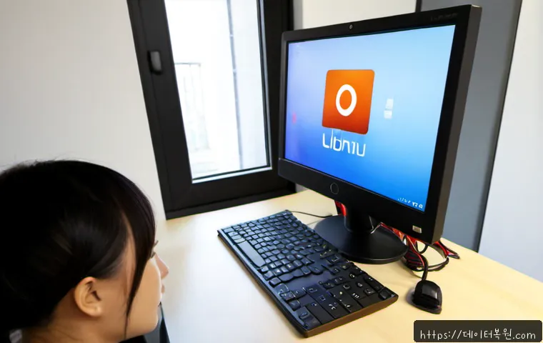식사동 ubuntu재설치 포맷 초기화 관련 이미지 2