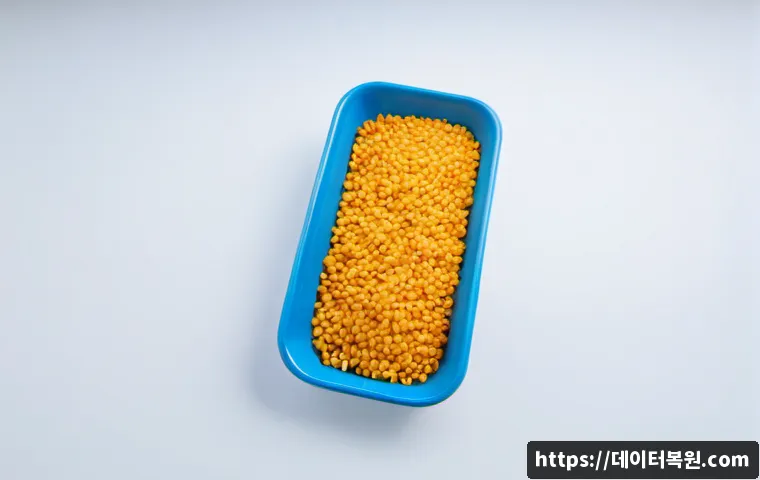 서초동 STATUS_KERNEL_MODULE_FAILURE 관련 이미지 5