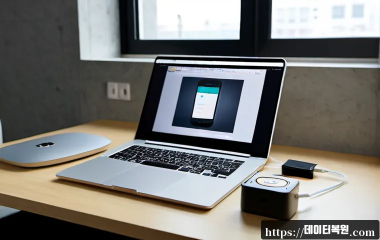송포동 STATUS_DISK_NOT_INITIALIZED 관련 이미지 2