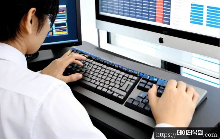 불광동 press f4 key 관련 이미지 2