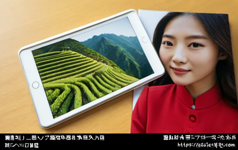 소하동 STATUS_STACK_OVERFLOW 관련 이미지 5