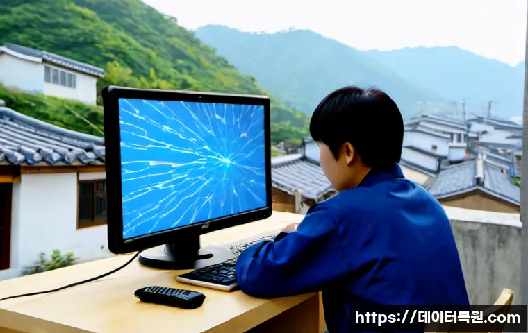 혜화동 STATUS_KERNEL_FILE_SYSTEM_ERROR 관련 이미지 4