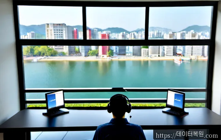 장항동 STATUS_FLOAT_OVERFLOW 관련 이미지 1