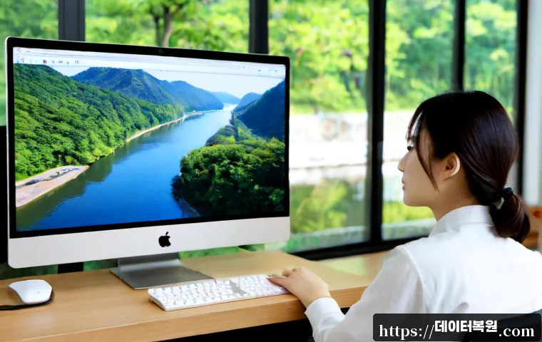 강서구 STATUS_INVALID_PAGE 관련 이미지 4