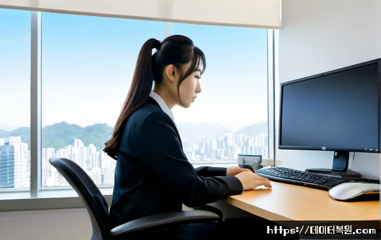 서초동 STATUS_FILE_LOCK_CONFLICT 관련 이미지 1