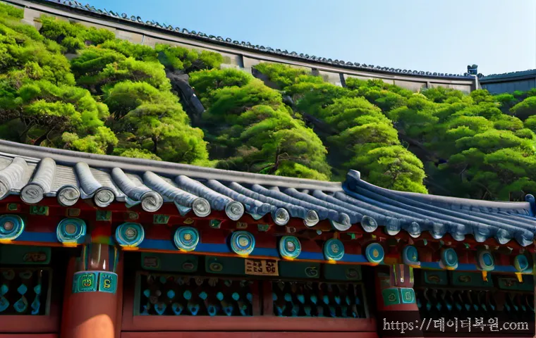 연남동 신호없음 관련 이미지 5