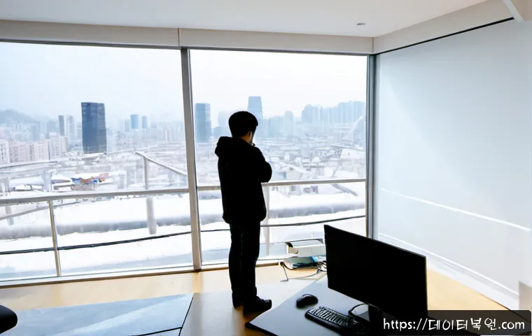 창릉동 STATUS_MEMORY_VIOLATION 관련 이미지 3