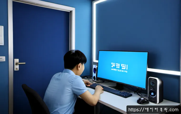 천호동 STATUS_KERNEL_ACCESS_DENIED 관련 이미지 4