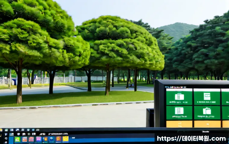 우장산 REGISTRY_ERROR 관련 이미지 3