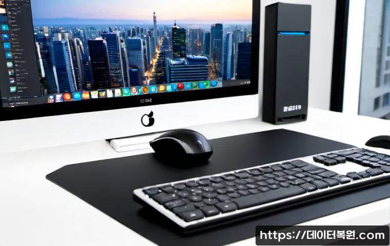 다산동 macosX재설치 포맷 초기화 관련 이미지 3