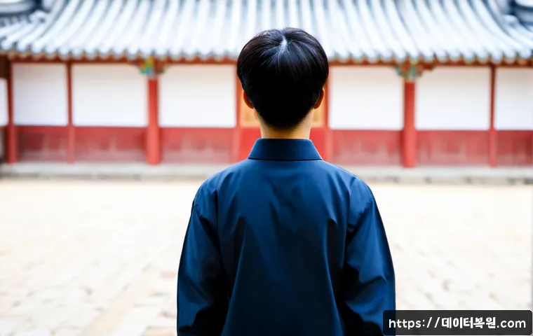 화곡동 VIDEO_MEMORY_MANAGEMENT_INTERNAL 관련 이미지 5