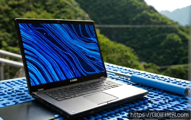 옥수동 STATUS_KERNEL_DRIVER_CORRUPTION 관련 이미지 2