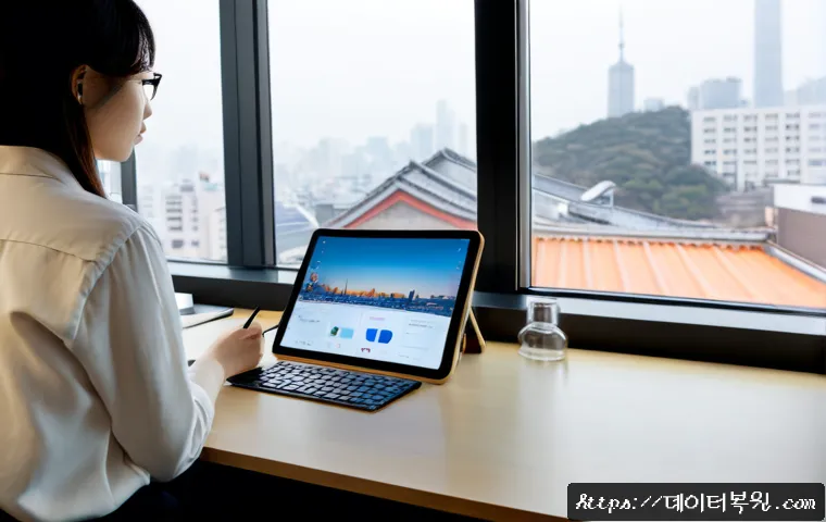 의주로 STATUS_MEMORY_ACCESS_DENIED 관련 이미지 2