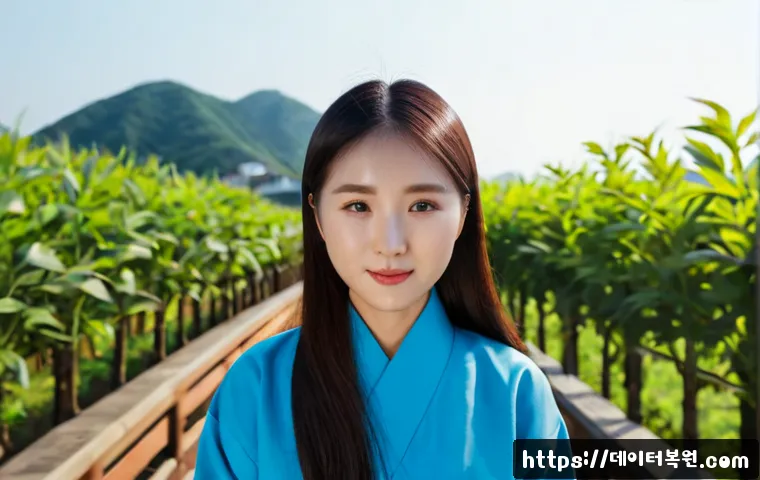 도봉구 STATUS_DISK_WRITE_FAILURE 관련 이미지 5
