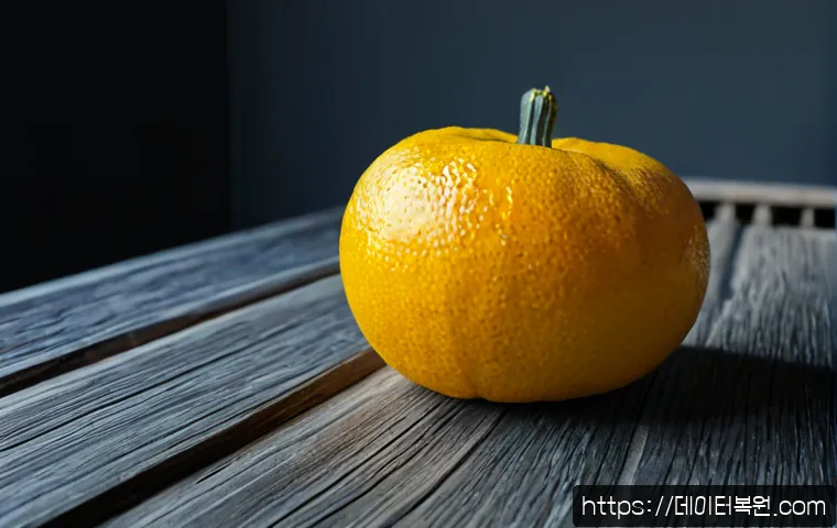 행운동 STATUS_KERNEL_CONFIGURATION_ERROR 관련 이미지 5