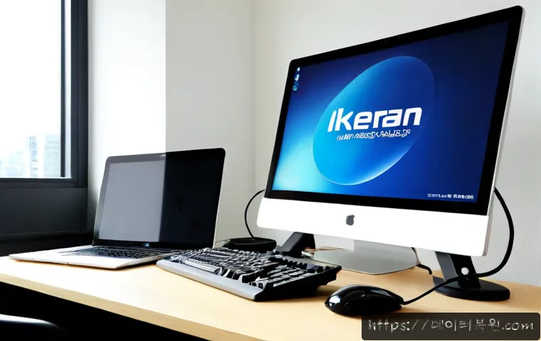 과천동 all boot options are tried 관련 이미지 4