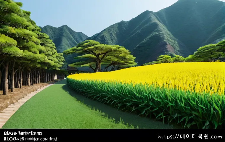 화양동 STATUS_MEMORY_VIOLATION 관련 이미지 5