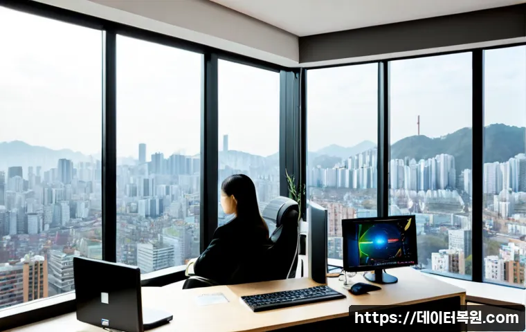 광명시 STATUS_STACK_BUFFER_OVERRUN 관련 이미지 3