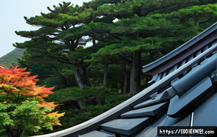 철산동 STATUS_UNSUCCESSFUL 관련 이미지 5