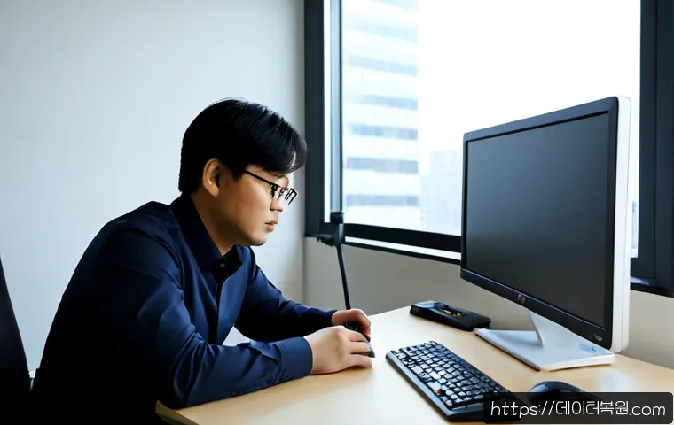 순화동 VIDEO_DRIVER_INIT_FAILURE 관련 이미지 4