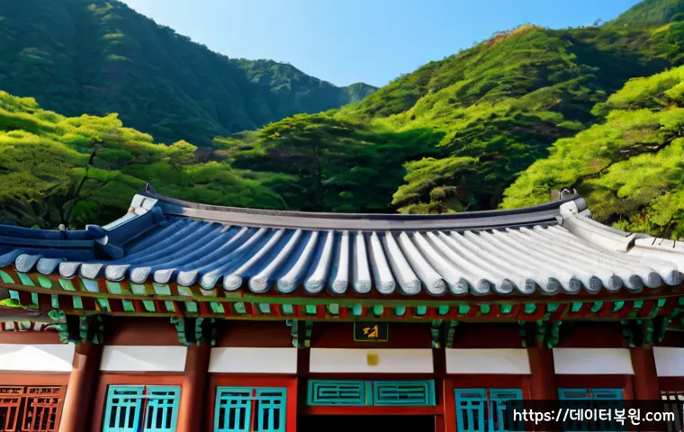 안암동 프로그램응답없음 관련 이미지 5