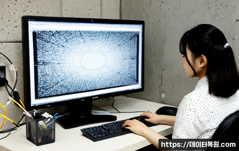 신길동 STATUS_IMAGE_CORRUPTION 관련 이미지 2