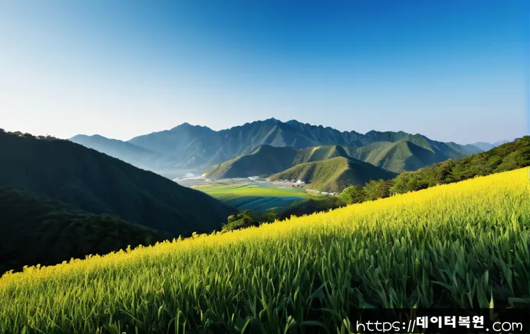 삼각산동 STATUS_INSUFFICIENT_RESOURCES 관련 이미지 5