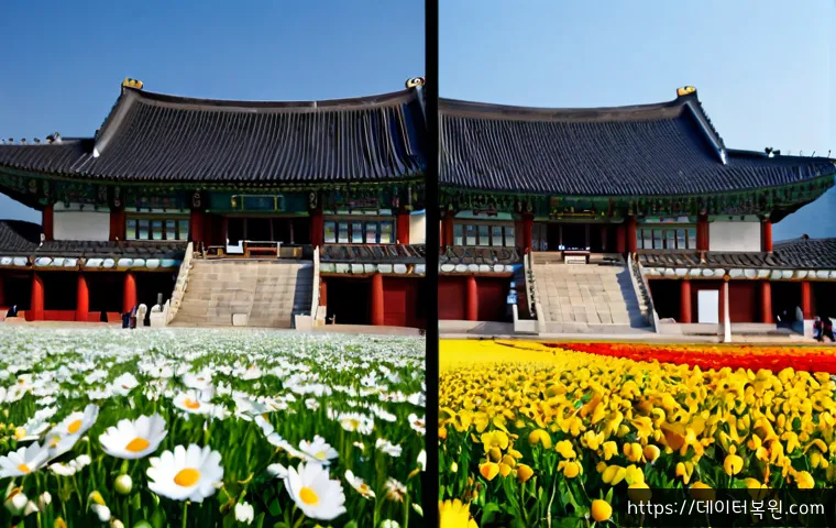 천호동 자동복구 관련 이미지 5