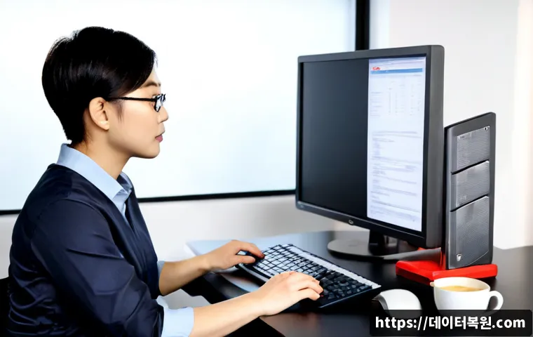 인헌동 STATUS_INVALID_PAGE 관련 이미지 2