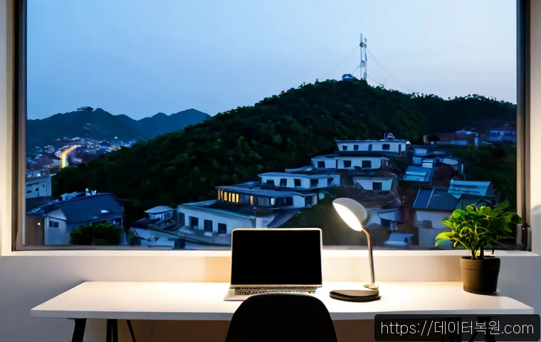 내수동 STATUS_FLOAT_OVERFLOW 관련 이미지 4