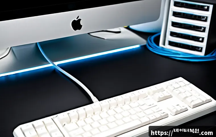 동화동 macosX재설치 포맷 초기화 관련 이미지 3