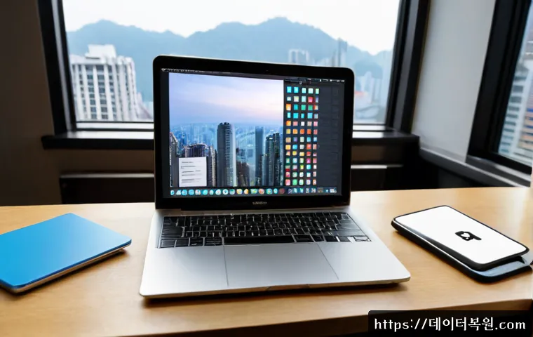 광장동 macosX재설치 포맷 초기화 관련 이미지 4