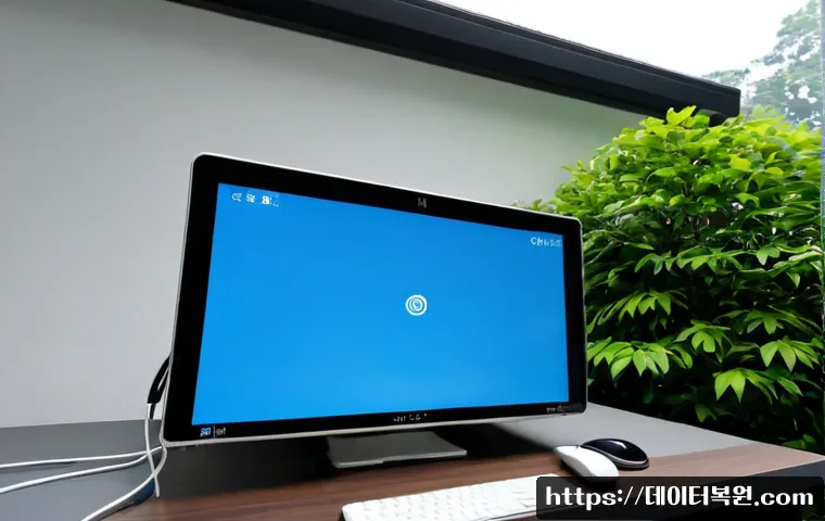 주엽동 IO1_INITIALIZATION_FAILED 관련 이미지 2