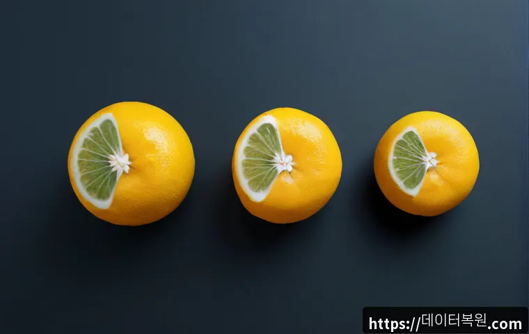 서림동 STATUS_RESOURCE_NOT_OWNED 관련 이미지 5