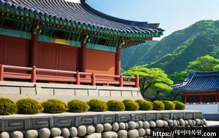 목현동 VIDEO_MEMORY_MANAGEMENT_INTERNAL 관련 이미지 5