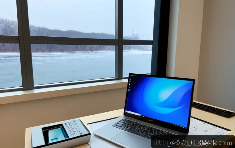 자양동 STATUS_PAGE_FAULT 관련 이미지 2