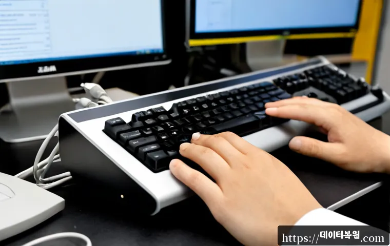 봉래동 STATUS_PRIVILEGED_INSTRUCTION 관련 이미지 3