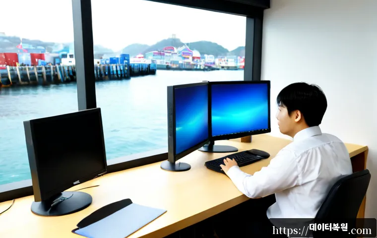 봉래동 STATUS_PRIVILEGED_INSTRUCTION 관련 이미지 4