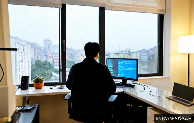 송포동 BAD_POOL_CALLER 관련 이미지 4