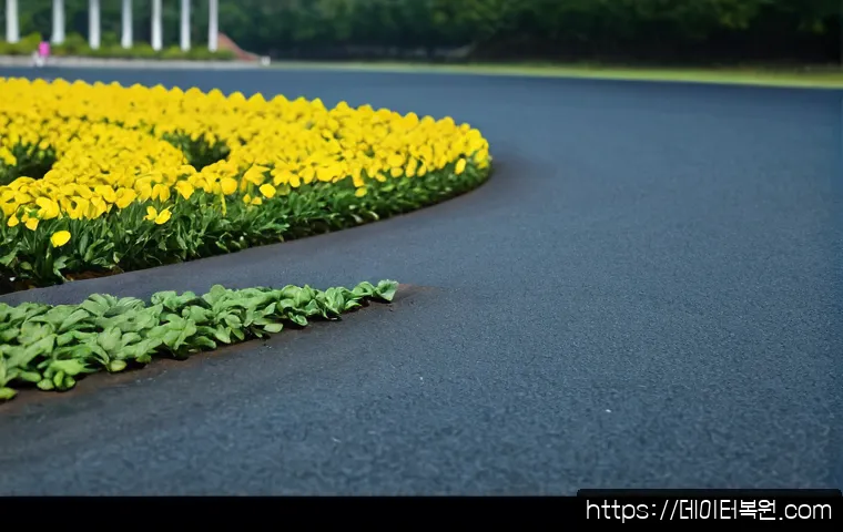 번동 STATUS_IMAGE_NOT_FOUND 관련 이미지 5