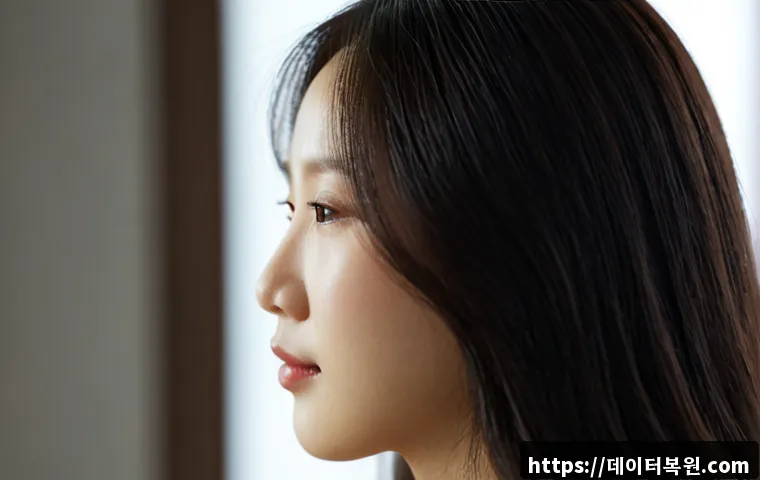 가회동 DRIVER_CORRUPTED_EXPOOL 관련 이미지 5