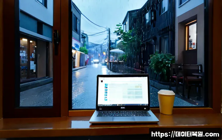 안암동 STATUS_DISK_WRITE_FAILURE 관련 이미지 4
