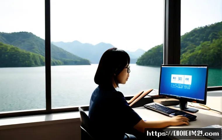 청평면 STATUS_FILE_INVALID 관련 이미지 4